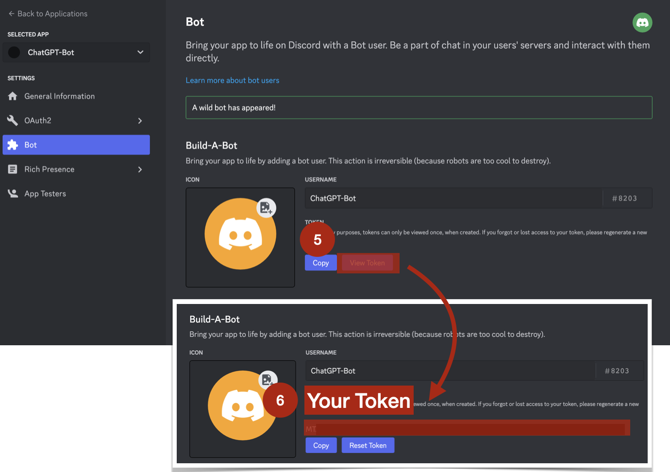 Get OpenAI Token Step 5 and Step 6