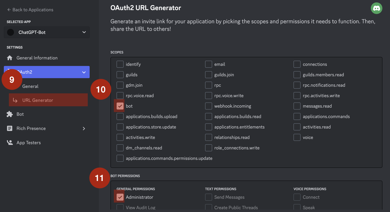 Get OpenAI Token Step 9, Step 10 and Step 11